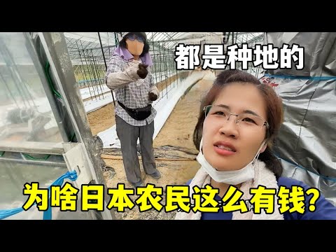 南美风云,解放者杯解,巴甲领头羊,开云网站,在线服务平台,网站建设,用户体验,便捷网站,网络平台,开云服务,网站优化,SEO,网络营销
