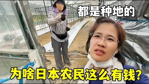 南美风云：解放者杯解读，巴甲领头羊专家质合分析抢分期号